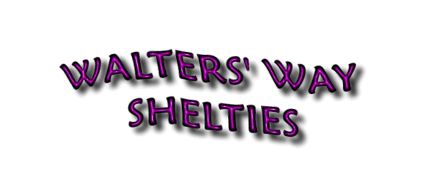 Welcome to Walters' Way Shelties